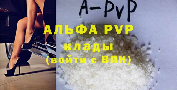 стафф Дмитров
