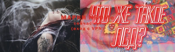 стафф Дмитров