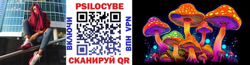 Псилоцибиновые грибы MAGIC MUSHROOMS  Кадников 