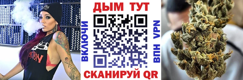 где можно купить наркотик  Кадников  Марихуана ГИДРОПОН 